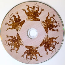 Cargar imagen en el visor de la galería, Druid - The Seven Scrolls (CD)