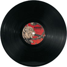 Charger l'image dans la galerie, Kylesa - Time Will Fuse Its Worth (Vinyle/Disque)