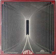 Charger l'image dans la galerie, Jakob Skott - Instrumentalité (Vinyle/Disque)