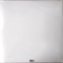 Cargar imagen en el visor de la galería, Brian Jonestown Massacre, The - Pirámide del Tercer Mundo (Vinilo/Disco)