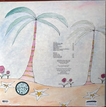 Load image into Gallery viewer, Licorice Roots - Licorice Roots Orchestra (Vinyl/Record)