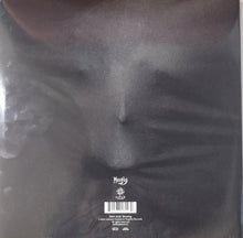 Charger l'image dans la galerie, Satyricon - Satyricon And Munch (Vinyle/Disque)