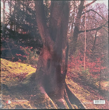 Charger l'image dans la galerie, Josiah - Out Of The First Rays (Vinyle/Disque)