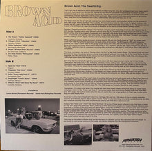 Charger l'image dans la galerie, Brown Acid - The Twelfth Trip (Vinyle/Disque)