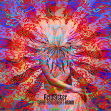Load image into Gallery viewer, AcidSitter - Make Acid Great Again (CD)