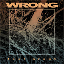 Cargar imagen en el visor de la galería, Wrong - Feel Great (Vinilo/Disco)
