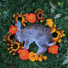 Charger l'image dans la galerie, Monolord - Your Time To Shine (Vinyle/Disque)