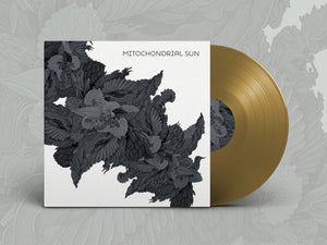 Mitochondrial Sun - Mitochondrial Sun (Vinyl/Record)