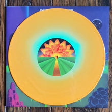 Load image into Gallery viewer, Cactus Flowers - Solace (Vinyl/Record)