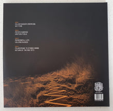 Load image into Gallery viewer, Robot God ‎– Silver Buddha Dreaming (Vinyl/Record)