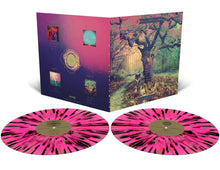 Load image into Gallery viewer, Royal Thunder - Crooked Doors (Vinyl/Record)