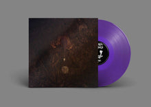 Load image into Gallery viewer, BongBongBeerWizards - Ampire Vinyl