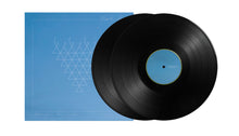 Load image into Gallery viewer, Temple Fang - Lifted From The Wind (Vinyl/Record)