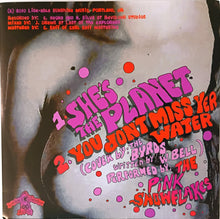 Charger l&#39;image dans la galerie, Pink Snowflakes, The - You Don&#39;t Miss Yer Water (Vinyl/Record)
