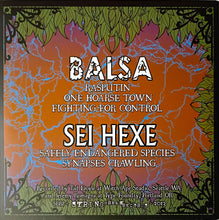 Load image into Gallery viewer, Balsa / Sei Hexe - Balsa / Sei Hexe (Vinyl/Record)