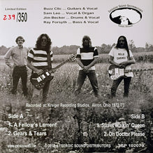 Load image into Gallery viewer, Bold Chicken - A Fellow&#39;s Lament (Vinyl/Record)