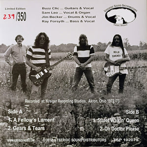 Bold Chicken - A Fellow's Lament (Vinyl/Record)