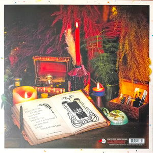 Decasia - An Endless Feast For Hyenas (Vinyl/Record)