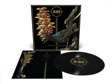 Cargar imagen en el visor de la galería, Album cover art for Dream Squasher featuring a vinyl record number 16 and a graphic of a bird and mushrooms.