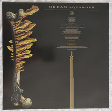 Cargar imagen en el visor de la galería, 16 - Dream Squasher back vinyl album cover.