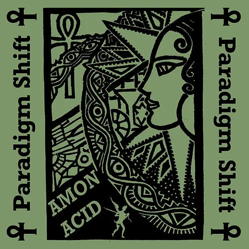 Amon Acid - Paradigm Shift (CD)