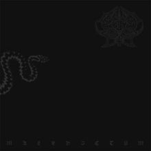 Cargar imagen en el visor de la galería, Black vinyl record cover with a dark, minimalist design featuring a snake and abstract shapes.