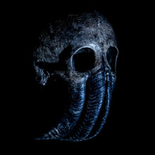 Charger l'image dans la galerie, Skull with snake wrapped around it on a black background