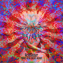 Charger l'image dans la galerie, AcidSitter - Make Acid Great Again album cover artwork.