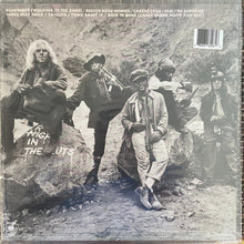 Load image into Gallery viewer, Aerosmith - Night In The Ruts back album cover.