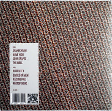 Load image into Gallery viewer, Arcadian Child - Protopsycho back vinyl record cover.
