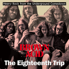 Load image into Gallery viewer, Brown Acid - The Eighteenth Trip (Vinyl/Record)