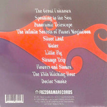 Load image into Gallery viewer, Asteroid self titled back album cover with text and abstract design on a purple and orange background