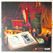 Load image into Gallery viewer, Decasia - An Endless Feast For Hyenas (Vinyl/Record)