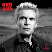 Load image into Gallery viewer, Black and white portrait of a person with spiky hair against a desert landscape, featuring the word 'IDOL' and a road sign.