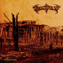 Cargar imagen en el visor de la galería, Black Capricorn / Weed Priest back album cover.