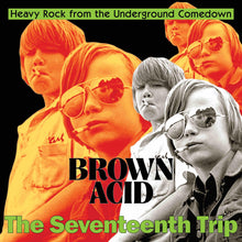 Load image into Gallery viewer, Brown Acid - The Seventeenth Trip (Vinyl/Record)