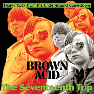 Brown Acid - The Seventeenth Trip (Vinyl/Record)