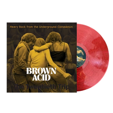 Load image into Gallery viewer, Brown Acid - The Twentieth Trip (Vinyl/Record)
