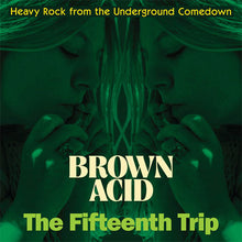 Load image into Gallery viewer, Album cover for &#39;Brown Acid: The Fifteenth Trip&#39; with a person holding green smoke, text overlay.