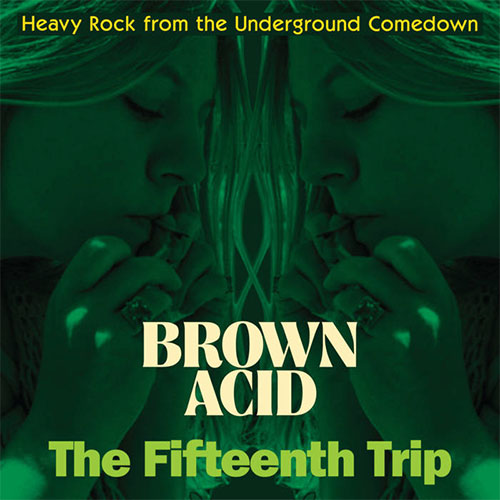 Album cover for 'Brown Acid: The Fifteenth Trip' with a person holding green smoke, text overlay.