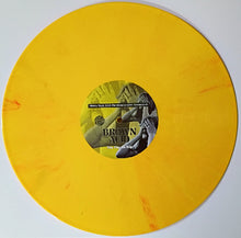 Cargar imagen en el visor de la galería, Yellow vinyl record with a label featuring text and graphics on a white background