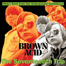 Charger l'image dans la galerie, Brown Acid - The Seventeenth Trip front compact disc cover artwork.