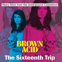Load image into Gallery viewer, Album cover with two women holding skulls and text &#39;Brown Acid: The Sixteenth Trip&#39; on a pink and blue gradient background.