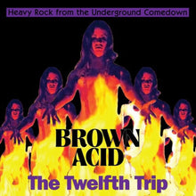 Charger l&#39;image dans la galerie, Album cover for Brown Acid The Twelfth Trip featuring a stylized illustration of a person with multiple exposures in a fiery background, indicating a rock music theme.