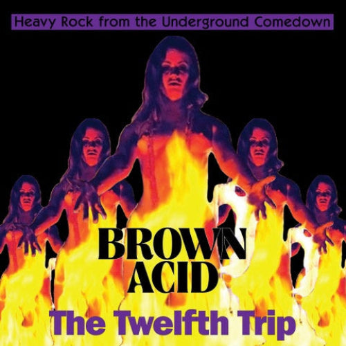 Album cover for Brown Acid The Twelfth Trip featuring a stylized illustration of a person with multiple exposures in a fiery background, indicating a rock music theme.
