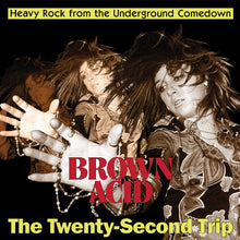 Cargar imagen en el visor de la galería, Brown Acid - The Twenty-Second Trip back vinyl record cover.