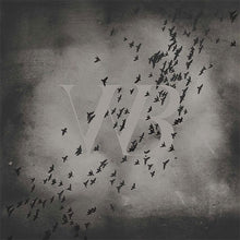 Charger l'image dans la galerie, Black birds flying around a white 'VW' logo on a textured gray background