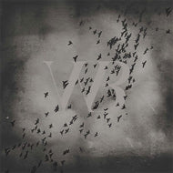 Black birds flying around a white 'VW' logo on a textured gray background