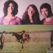 Load image into Gallery viewer, Budgie - Budgie back album cover.