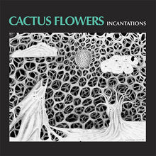 Charger l'image dans la galerie, Cactus Flowers - Incantations front vinyl record cover artwork.